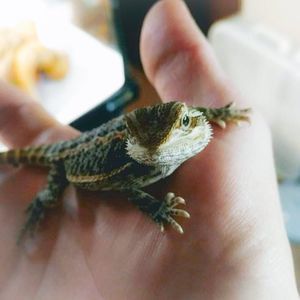 Meet your Posher, Amber